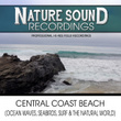 Central Coast Beach (Ocean Waves, Seabirds, Surf & The Natural World)