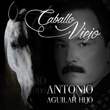 Caballo Viejo