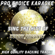 Sing The Hits Of Kenny Chesney (karaoke Version)