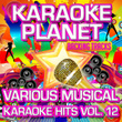 Various Musical Karaoke Hits, Vol. 12