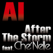 After The Storm Feat. Che'nelle