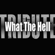 What The Hell (avril Lavigne Tribute)