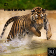 HUNTDOWN