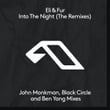 Into The Night (The Remixes)