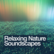 Relaxing Nature Soundscapes