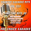 Country Karaoke Hits, Vol. 202
