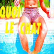 Quoi Le Chat