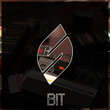 Bit