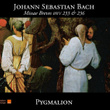 Bach: Missae Breves Bwv 233 & 236