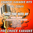 Country Karaoke Hits, Vol. 127