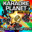Various Rock Songs, Vol. 14