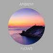 # Ambient Flows