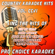 Country Karaoke Hits, Vol. 206