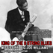 King Of The 9 String Blues