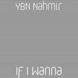 If I Wanna