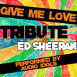 Give Me Love (tribute To Ed Sheeran) - Single