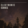 # Electronic Echoes