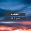 # Ambient Halcyon