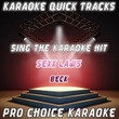 Karaoke Quick Tracks : Sexx Laws (karaoke Version)