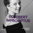 Schubert: Impromptus D. 899 & D. 935