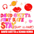 Stay (Don't Go Away) [feat. Raye] [David Guetta & R3HAB Remix]