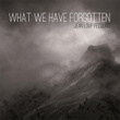 What We Have Forgotten