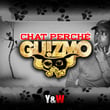 Chat perché