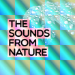The Sounds from Nature