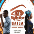 Big Brother Naija Double Wahala Theme Song