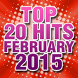Top 20 Hits February 2015
