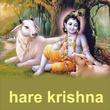 Hare Krishna