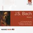 J.s. Bach: Motets