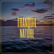 # Tranquil Nature