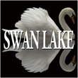 Tchaikovsky : Swan Lake / The Sleeping Beauty