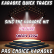 Karaoke Quick Tracks : Picture (karaoke Version)