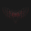 Moth