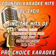 Country Karaoke Hits, Vol. 199