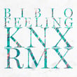 Feeling (Knx Remix)