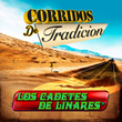 Corridos De Traicion