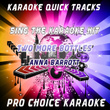 Karaoke Quick Tracks : Two More Bottles Of Wine (karaoke Version)