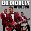 Bo Diddley Gets Loose