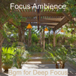 Bgm for Deep Focus