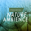 Peaceful Nature Ambience