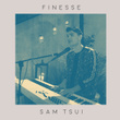 Finesse