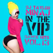In the VIP Dance Hits Vol. 13