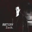 Artery