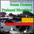 Dźwięków Natury na Studia: Szum Oceanu i Ptakami Morskimi: Specjalne Wydanie