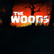 The Woods (feat. Vinny Noose)