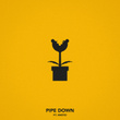 Pipe Down (feat. Anoyd)