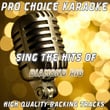 Sing The Hits Of Diamond Rio (karaoke Version)